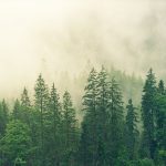 Wpływ regulacji unijnych na rozwój energii odnawialnej w Polsce