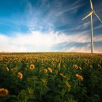 Osiągnięcia w zakresie badań i rozwoju w dziedzinie odnawialnych źródeł energii