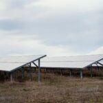 Agrofotowoltaika – łączenie produkcji rolnej z energią słoneczną